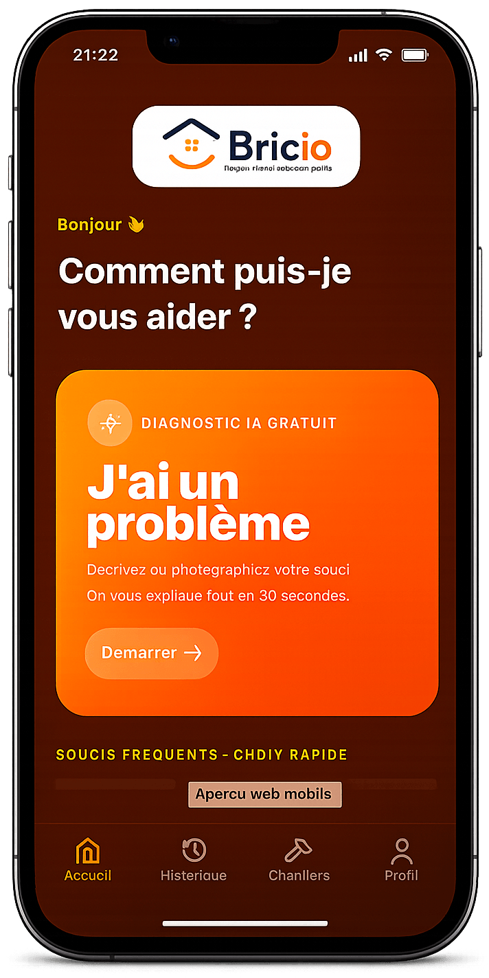 Application BRICIO — écran d'accueil